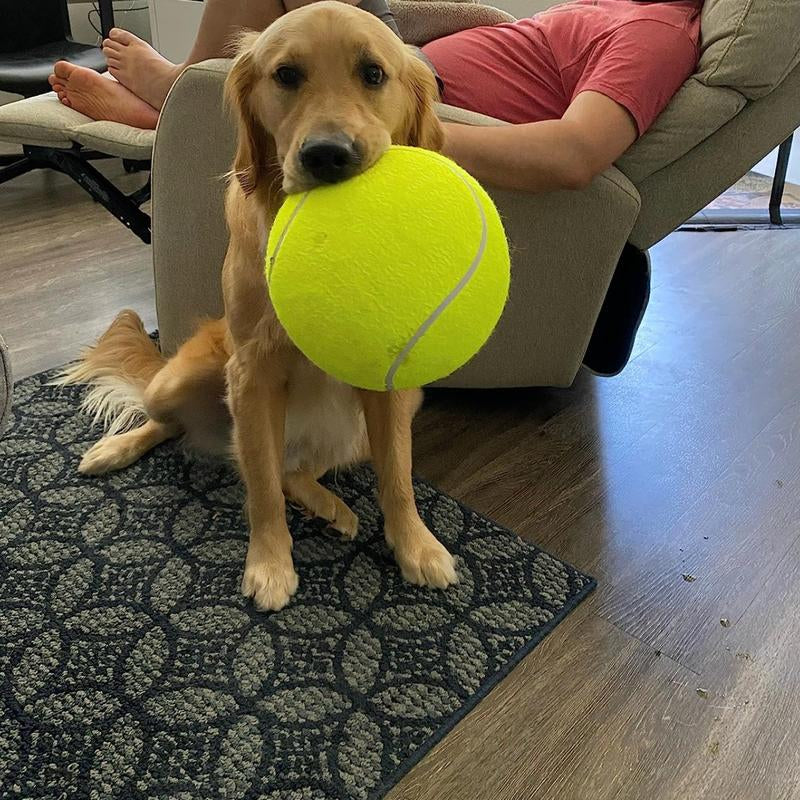 2 Pack Big Tennis Ball for Dogs - 9.5" and 8" Inflatable Giant Tennis Balls Large Pet Toys Outdoor