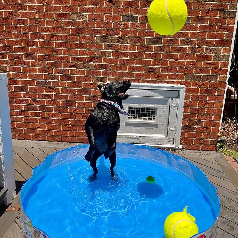 2 Pack Big Tennis Ball for Dogs - 9.5" and 8" Inflatable Giant Tennis Balls Large Pet Toys Outdoor